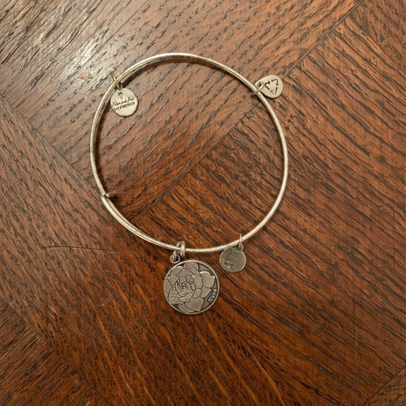 Alex and Ani Bundle of Bracelets 🎁🎀 - Picture 4 of 4